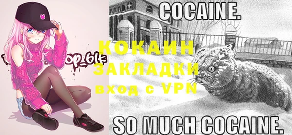 гидра Наволоки