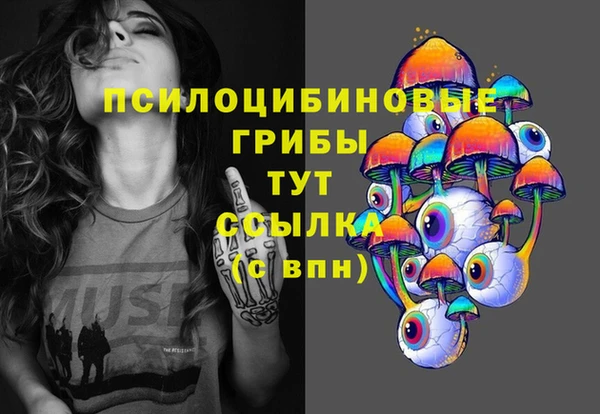 гидра Наволоки