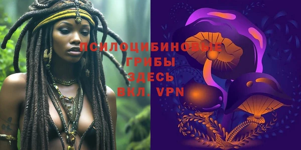 спайс Надым