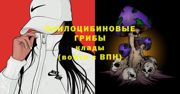 спайс Надым