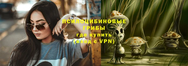 спайс Надым