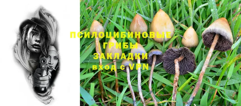 цена наркотик  Энем  Галлюциногенные грибы Psilocybine cubensis 